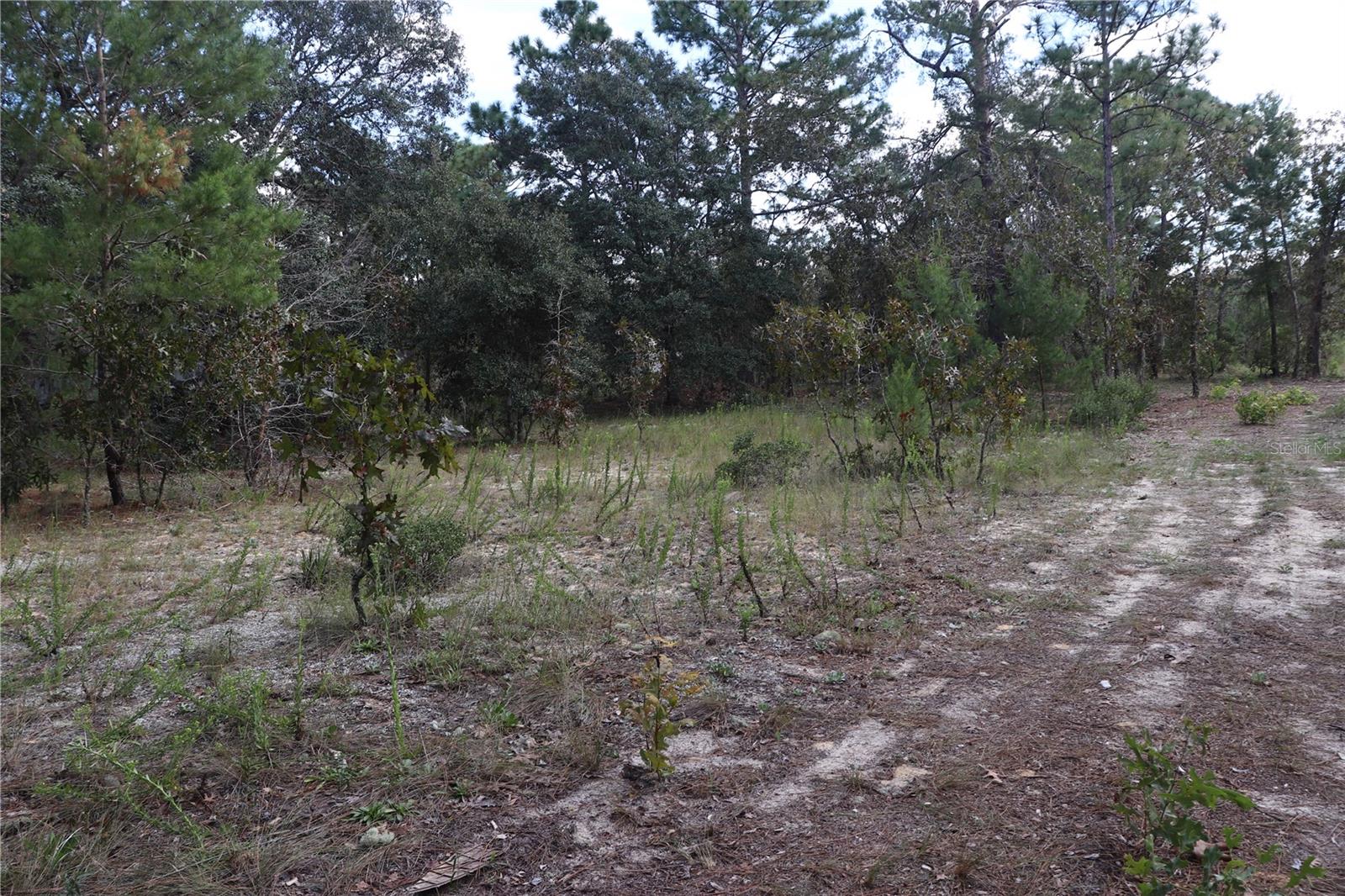 9657 N TIMBER CREEK TER, DUNNELLON, FL, 34433