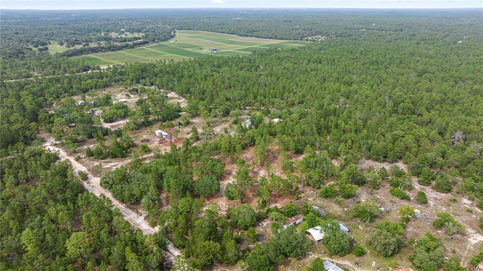 9657 N TIMBER CREEK TER, DUNNELLON, FL, 34433