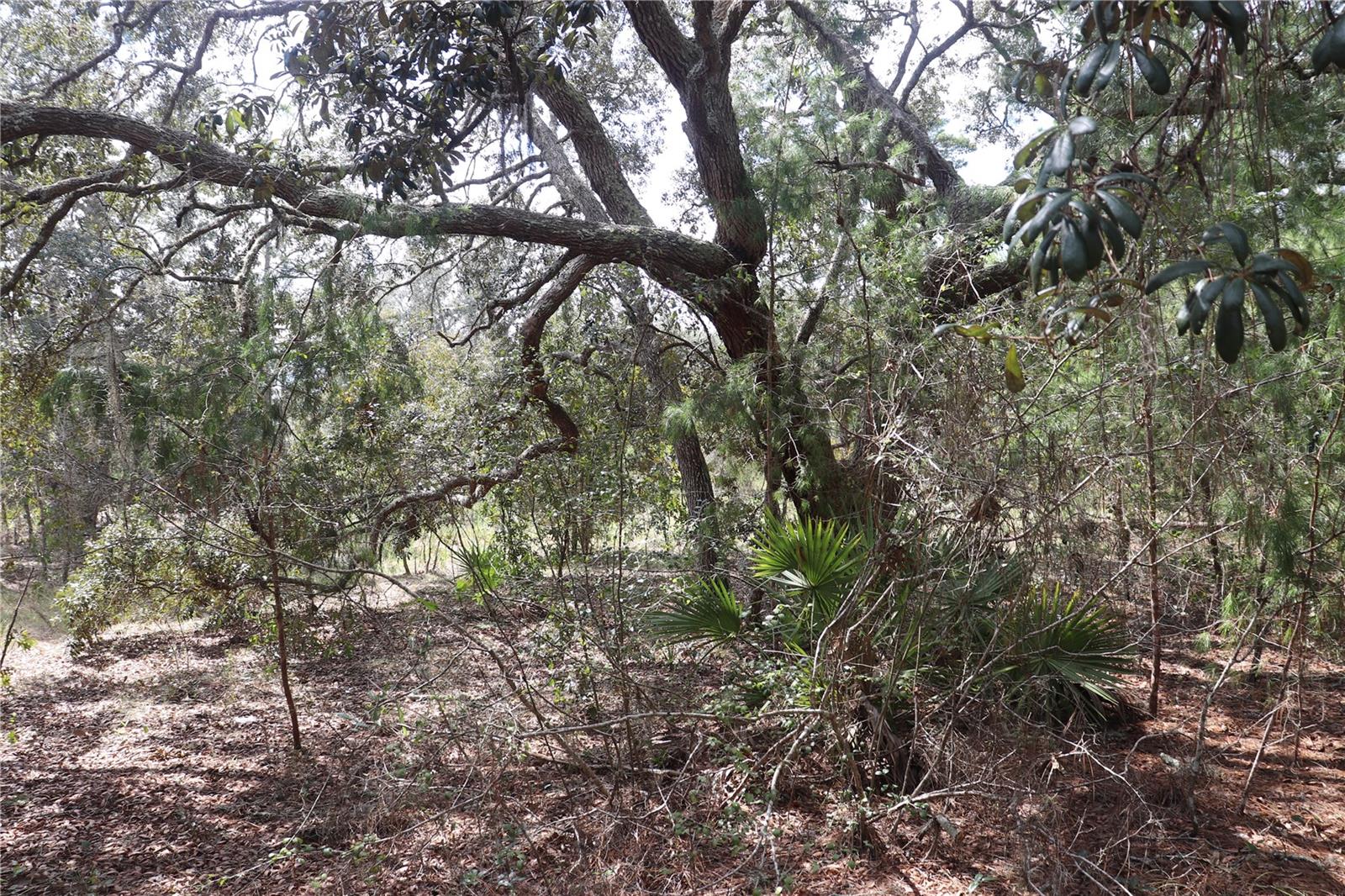 9657 N TIMBER CREEK TER, DUNNELLON, FL, 34433