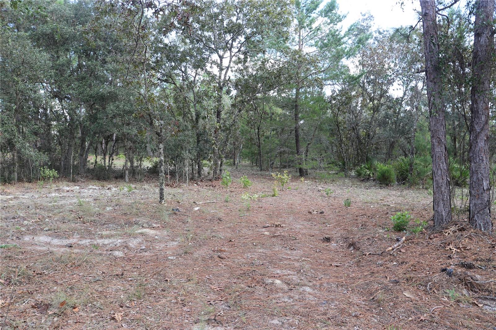 9657 N TIMBER CREEK TER, DUNNELLON, FL, 34433