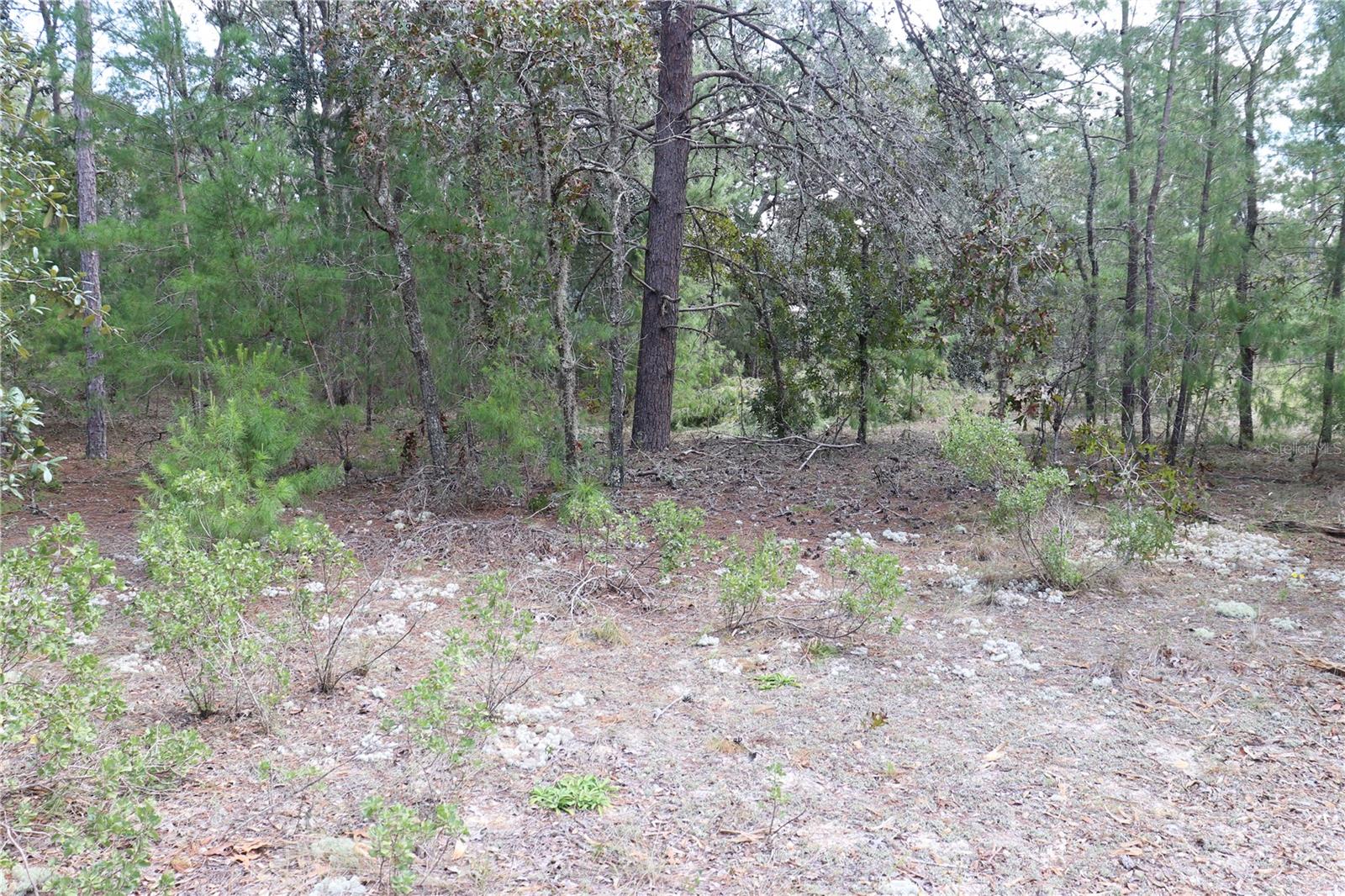 9657 N TIMBER CREEK TER, DUNNELLON, FL, 34433