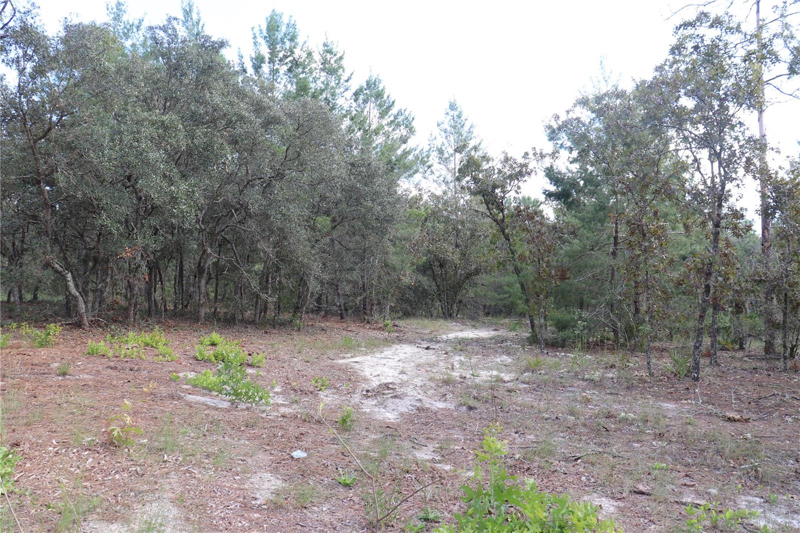 9657 N TIMBER CREEK TER, DUNNELLON, FL, 34433