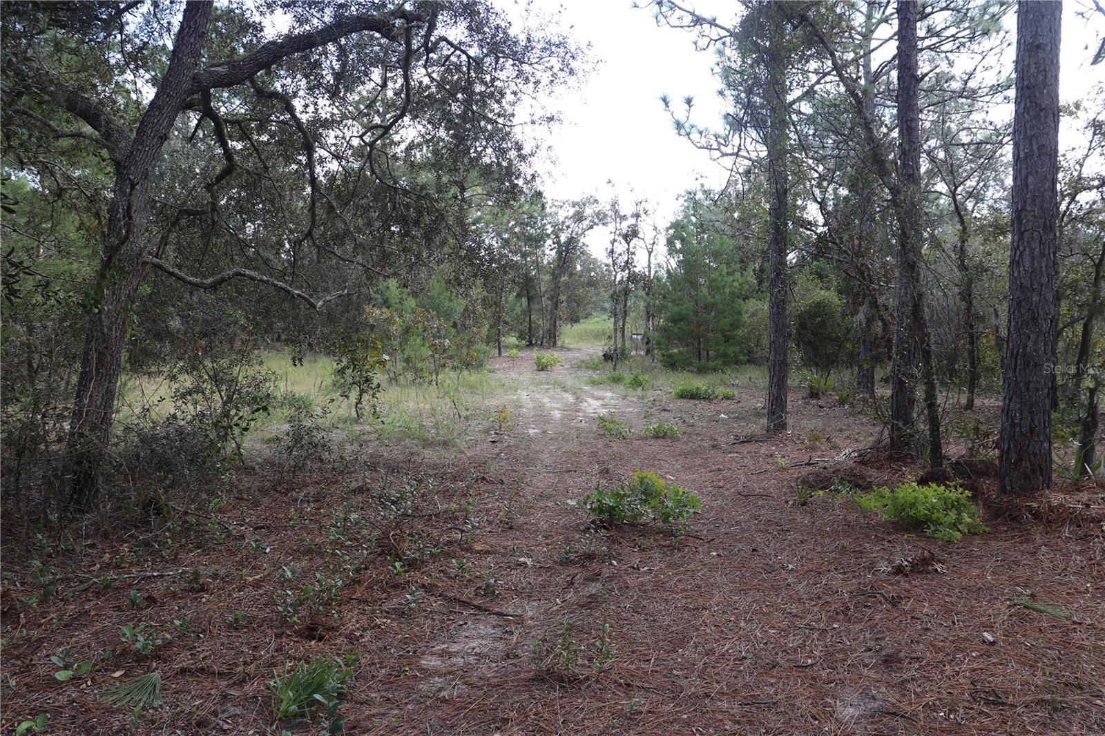 9657 N TIMBER CREEK TER, DUNNELLON, FL, 34433