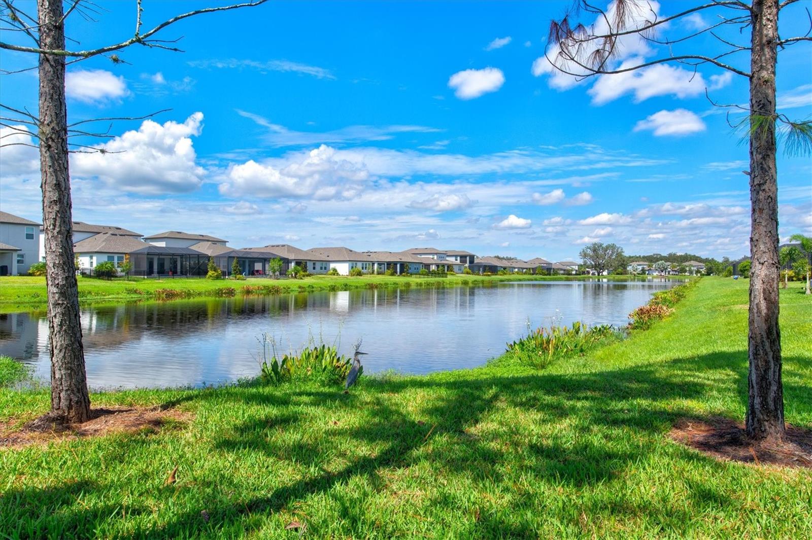 904 WHIMBREL RUN, BRADENTON, FL, 34212