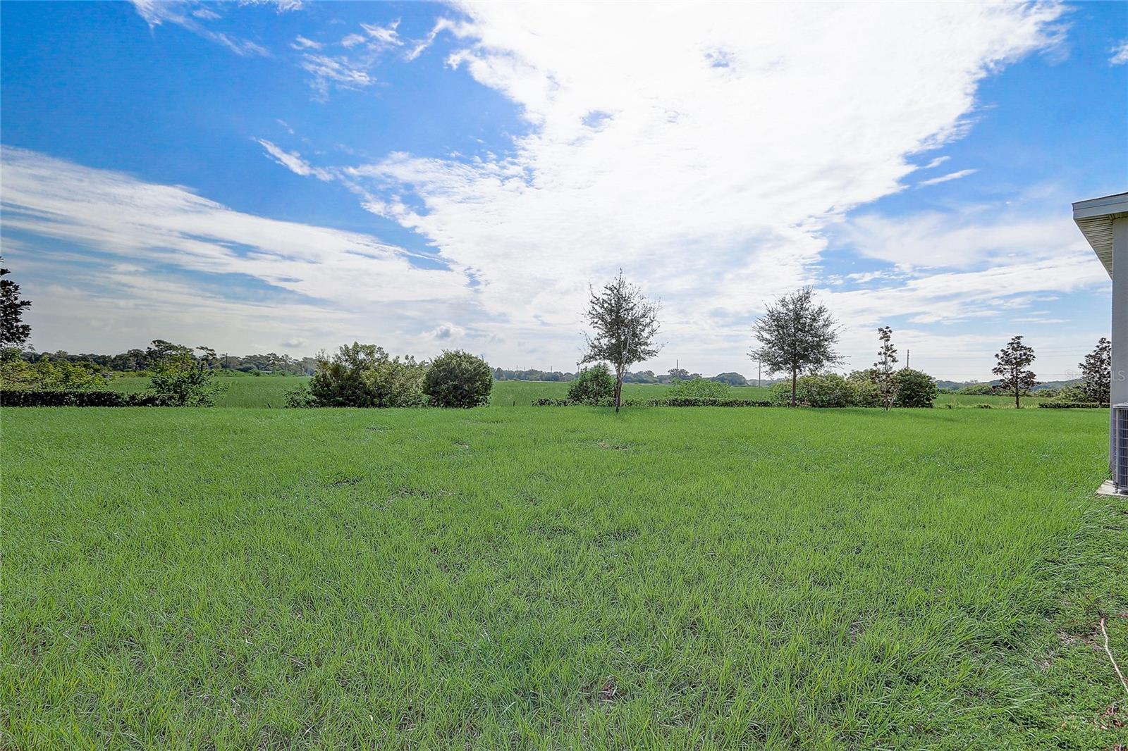 687 HITCH LOOP, ST CLOUD, FL, 34772