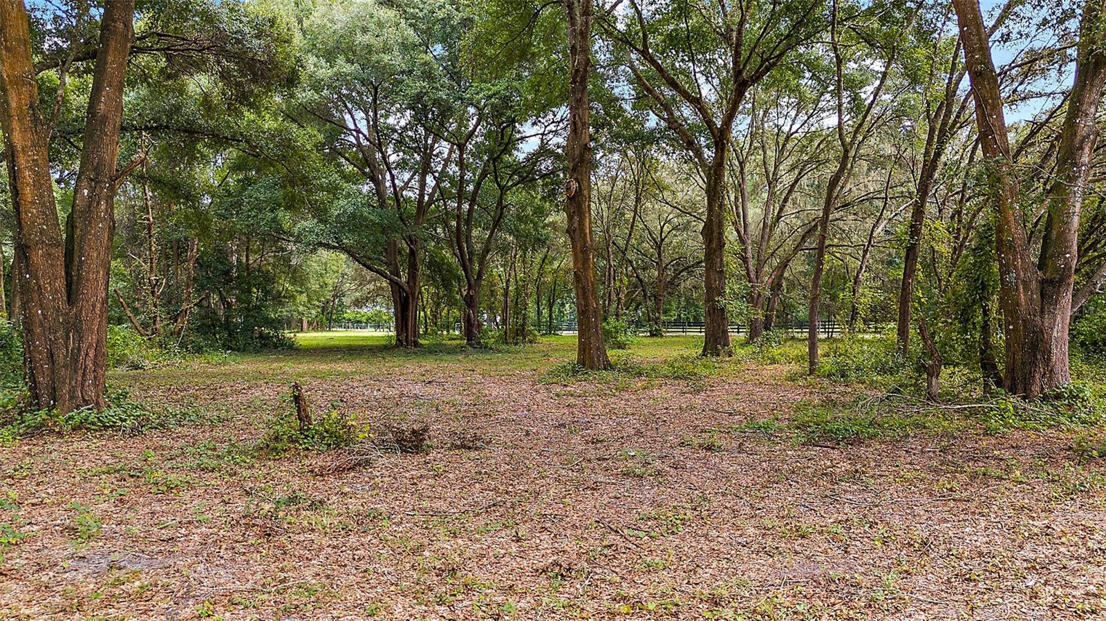 1112 NE 135TH GRV, OXFORD, FL, 34484