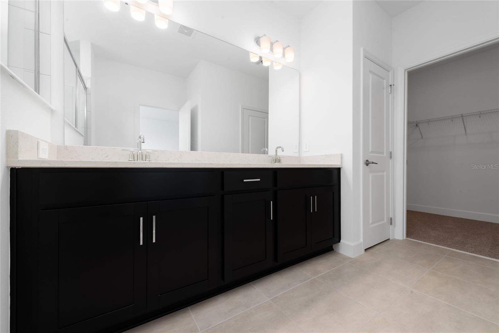 16313 HONEY HARVEST ST, WINTER GARDEN, FL, 34787