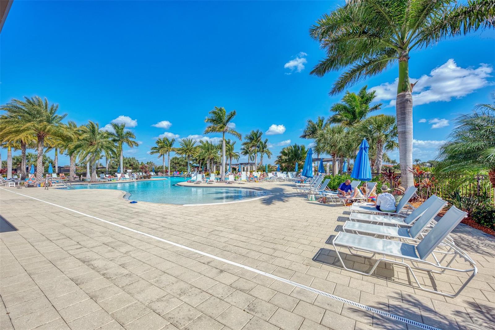 25134 SPARTINA DR, VENICE, FL, 34293
