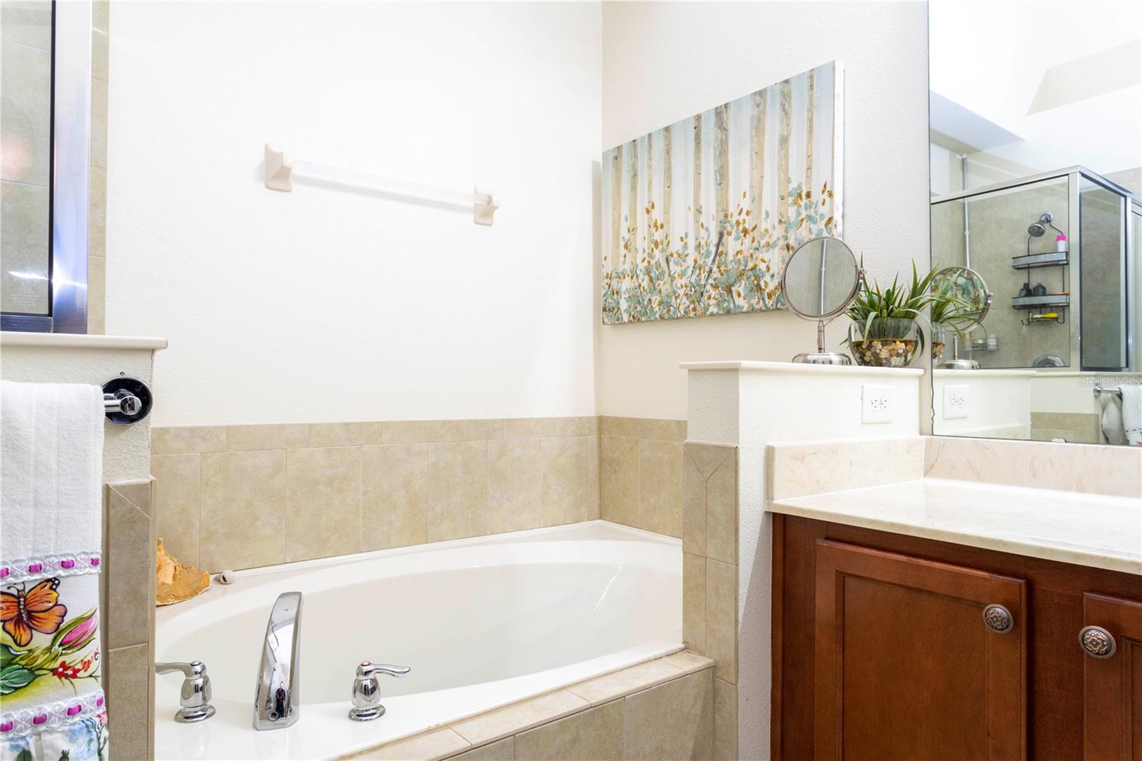 2508 DHARMA CIR, KISSIMMEE, FL, 34746