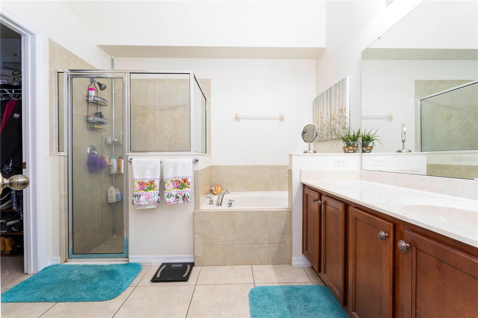 2508 DHARMA CIR, KISSIMMEE, FL, 34746