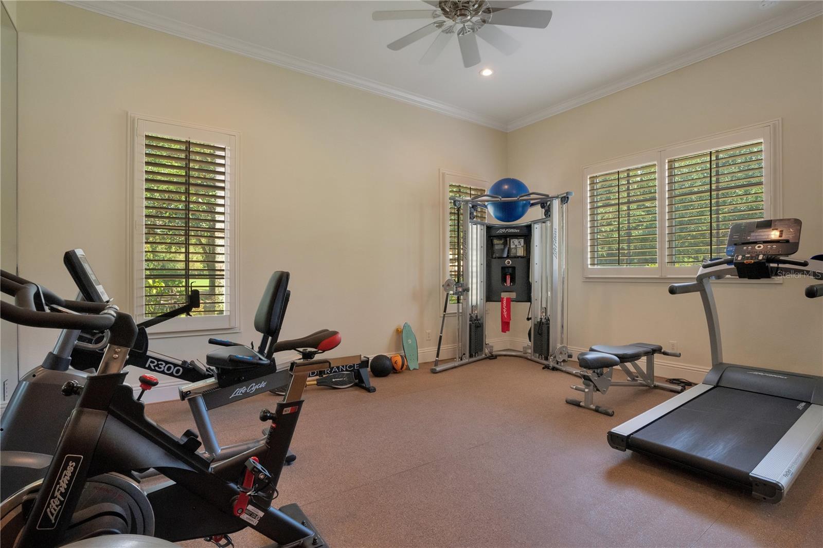 5174 VARDON DR, WINDERMERE, FL, 34786