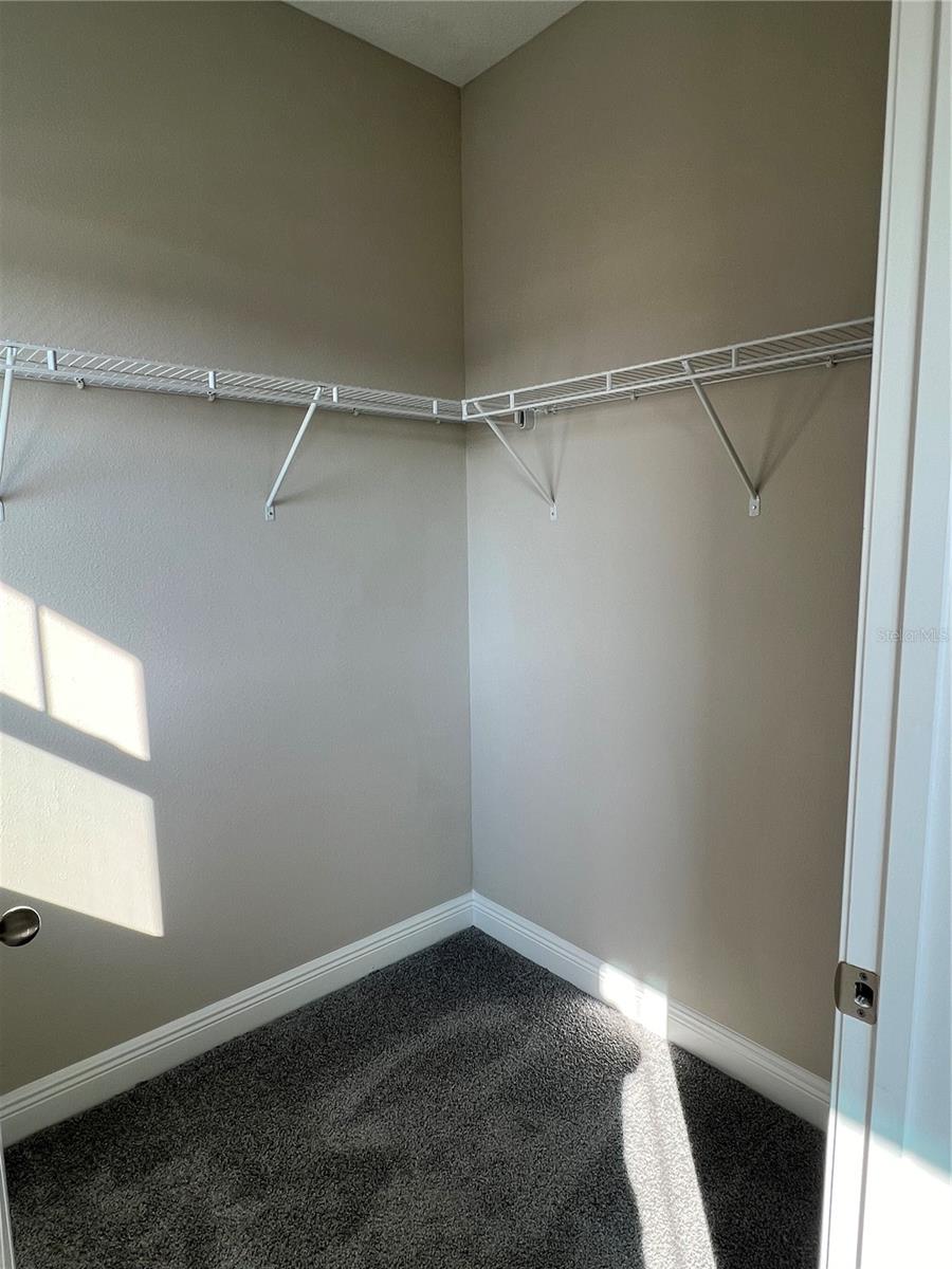16357 INGRAM HILLS ALY, WINTER GARDEN, FL, 34787
