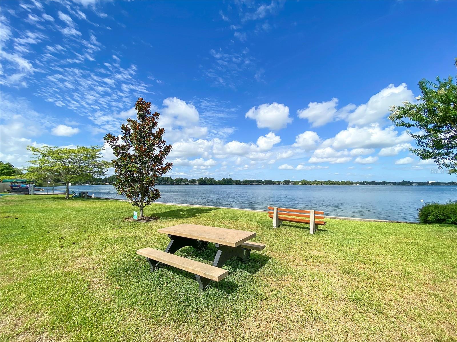 151 N ORLANDO AVE #229, WINTER PARK, FL, 32789