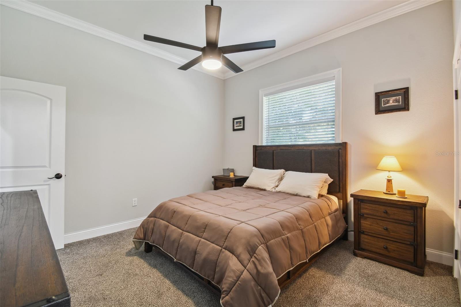 6701 S HIMES AVE, TAMPA, FL, 33611
