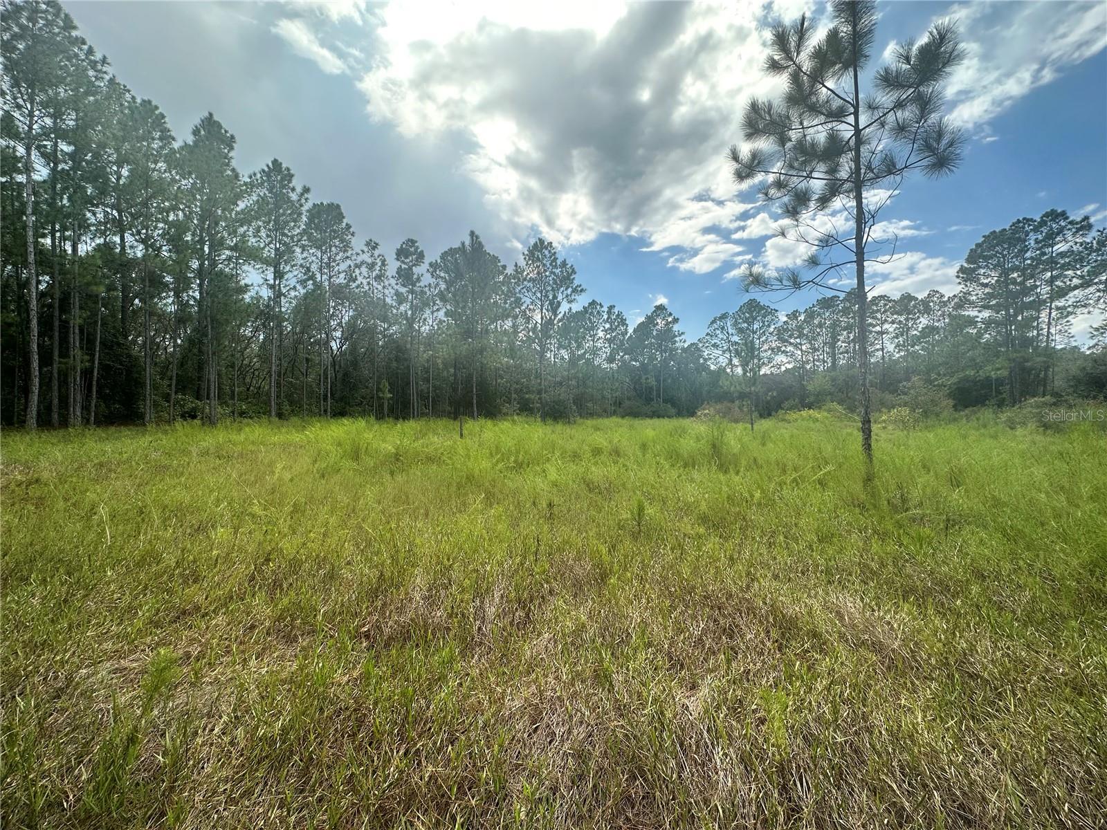 CLEFT ROCK ST, WEBSTER, FL, 33597