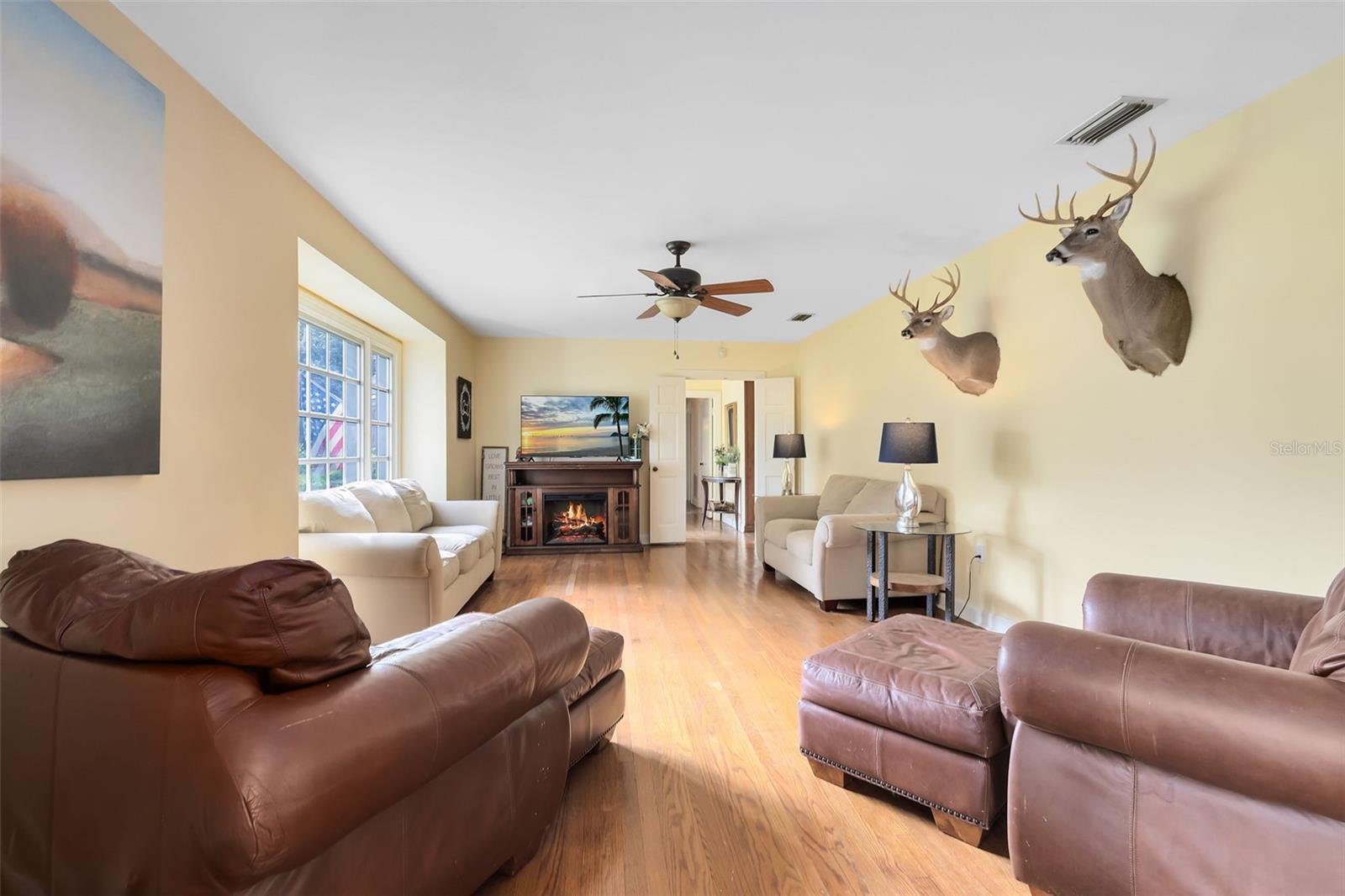 1617 PARK DR, LEESBURG, FL, 34748