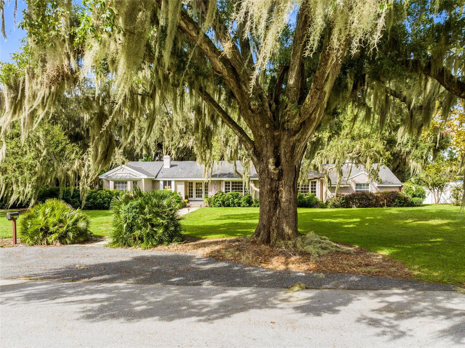 1617 PARK DR, LEESBURG, FL, 34748