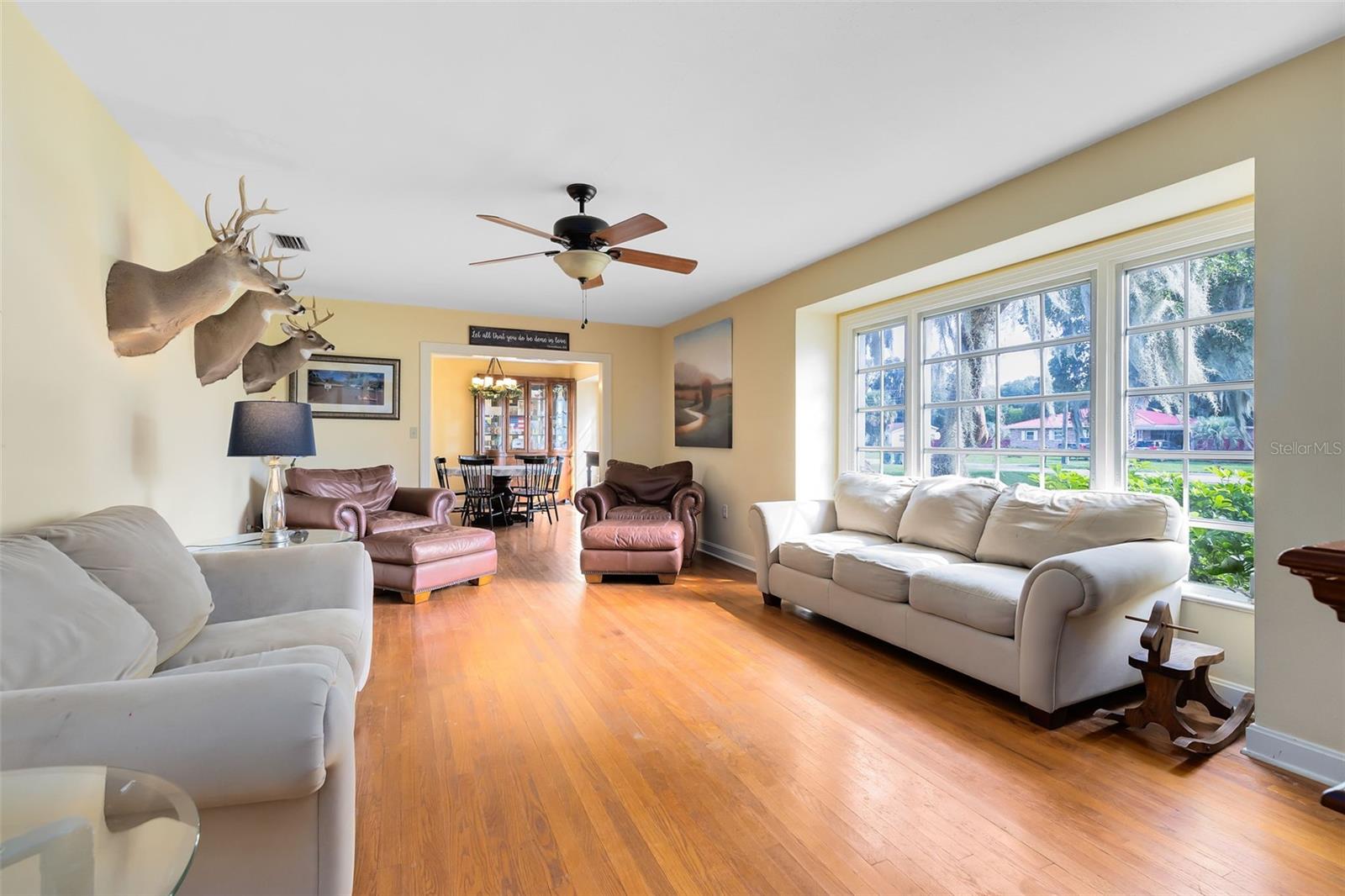 1617 PARK DR, LEESBURG, FL, 34748