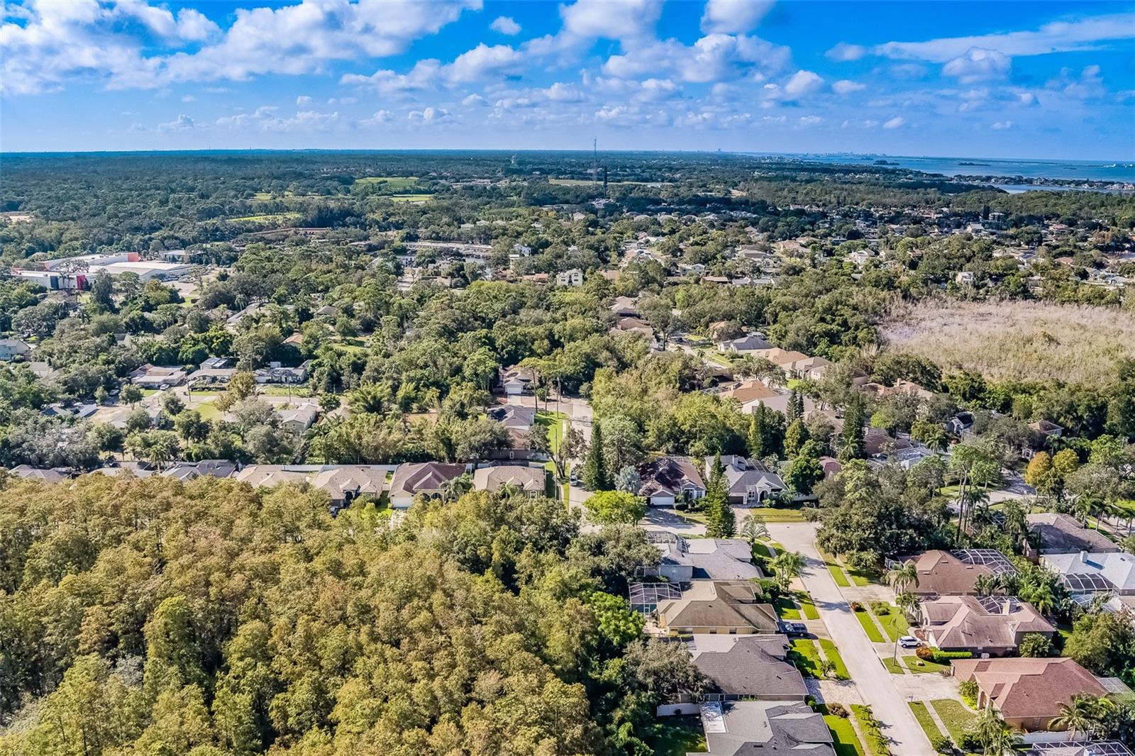1833 HILLCREST ST, TARPON SPRINGS, FL, 34689