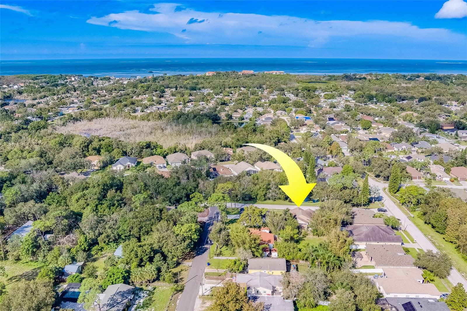 1833 HILLCREST ST, TARPON SPRINGS, FL, 34689