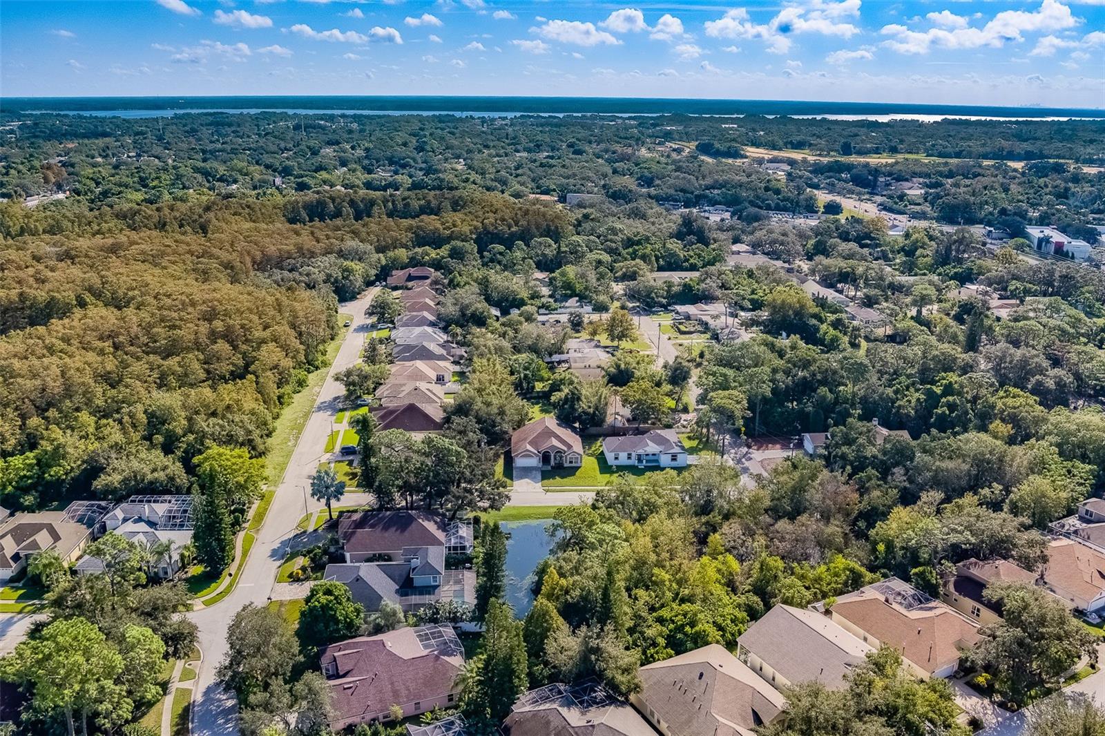 1833 HILLCREST ST, TARPON SPRINGS, FL, 34689