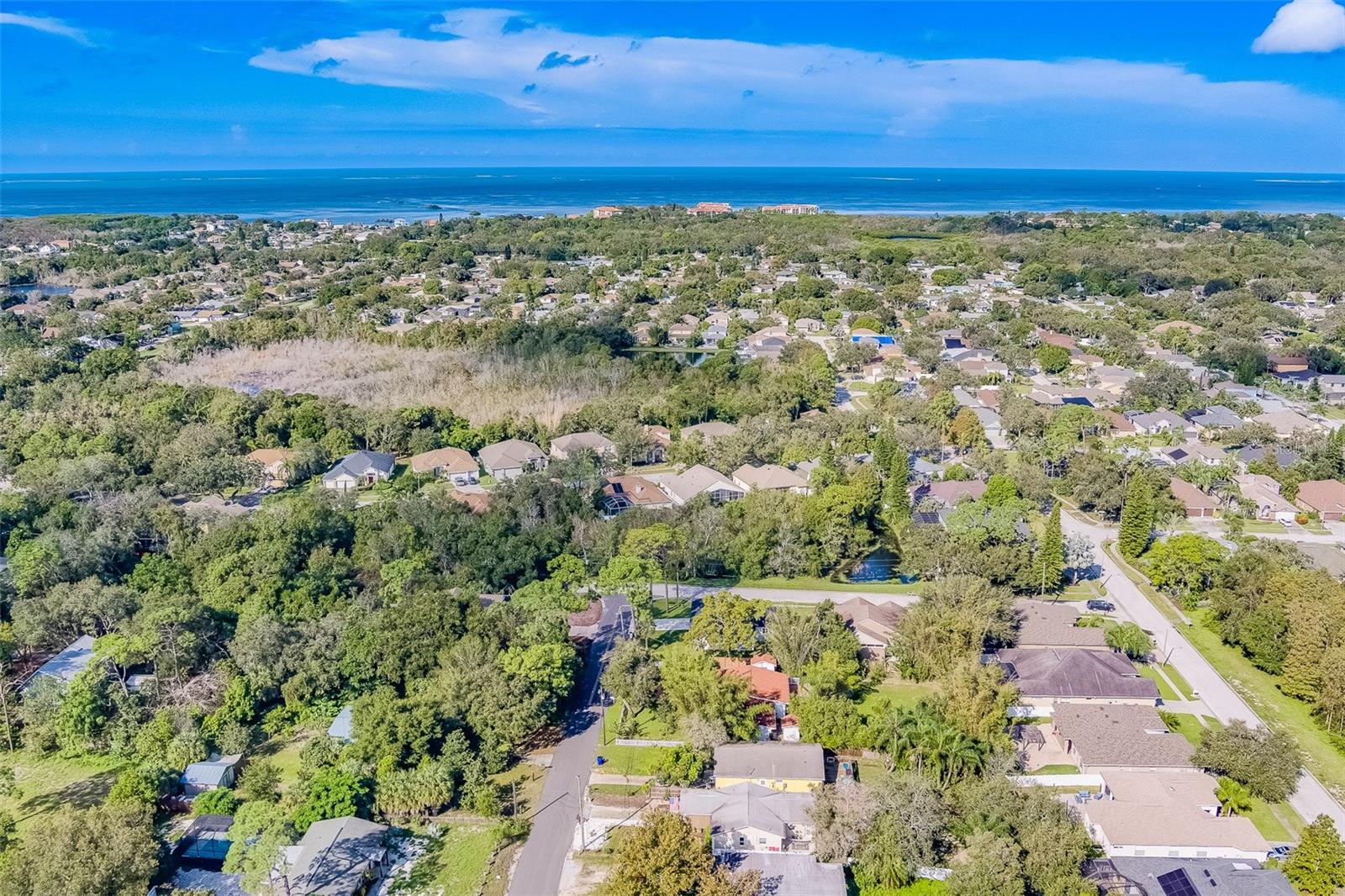 1833 HILLCREST ST, TARPON SPRINGS, FL, 34689