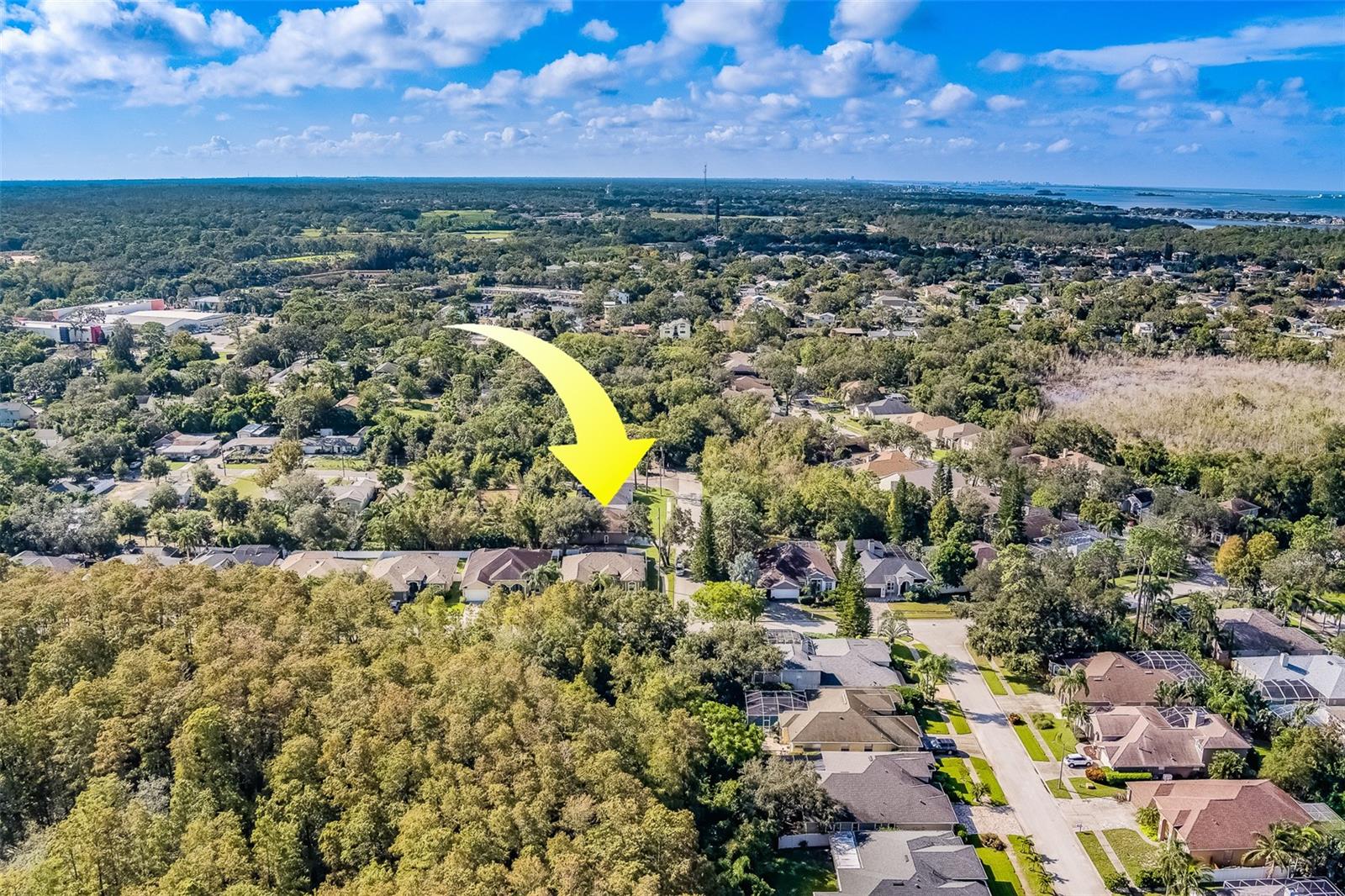 1833 HILLCREST ST, TARPON SPRINGS, FL, 34689