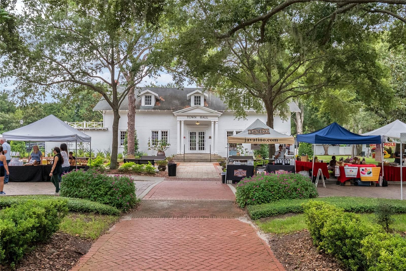 235 OAKDALE ST, WINDERMERE, FL, 34786