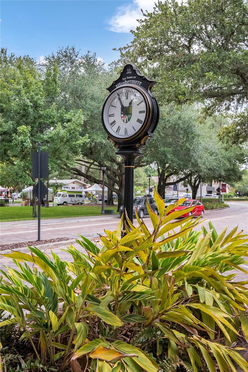 235 OAKDALE ST, WINDERMERE, FL, 34786