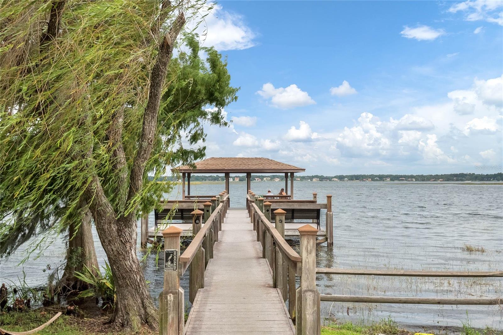 235 OAKDALE ST, WINDERMERE, FL, 34786
