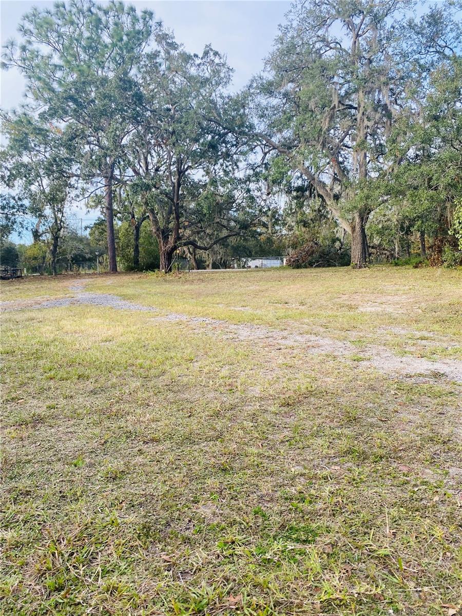 14514 DABNEY CT, SPRING HILL, FL, 34610