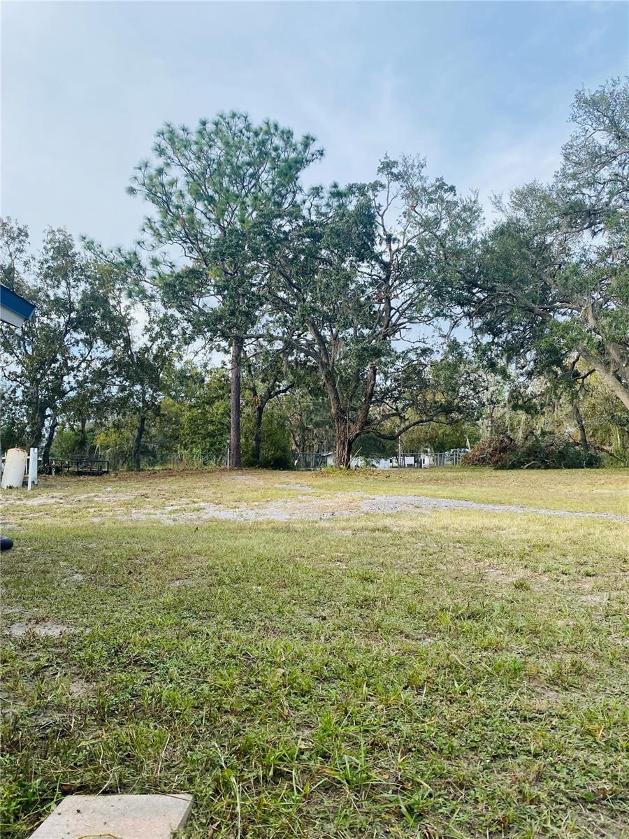14514 DABNEY CT, SPRING HILL, FL, 34610