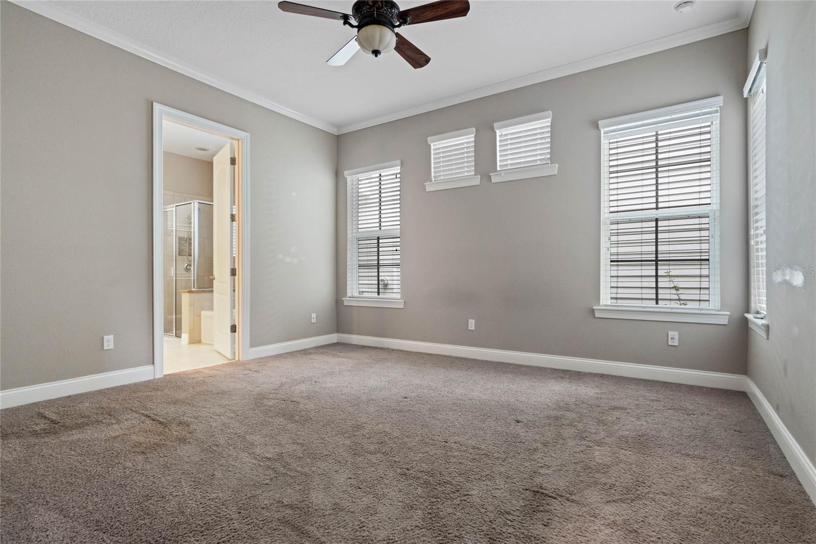 1577 CASTILE ST, CELEBRATION, FL, 34747