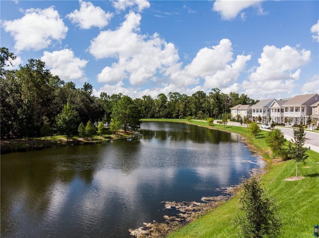 1577 CASTILE ST, CELEBRATION, FL, 34747