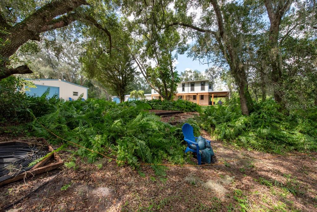 12805 FLINT CREEK RD, THONOTOSASSA, FL, 33592