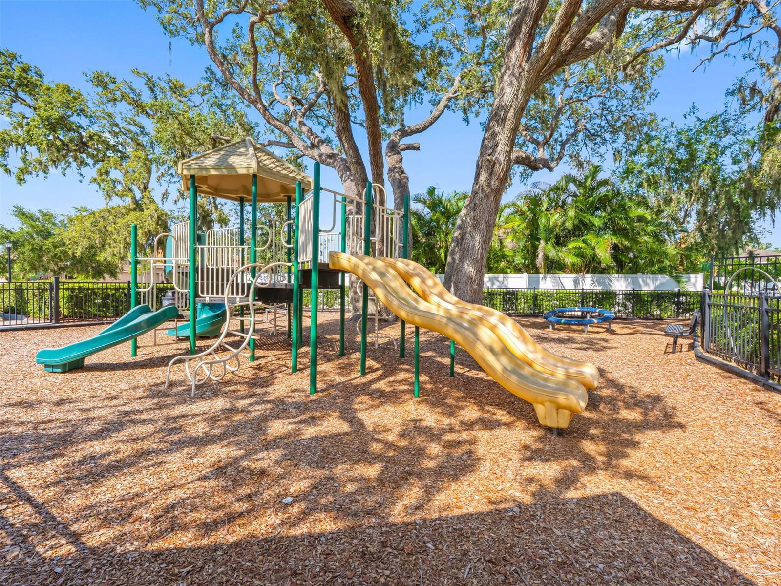 12820 BELVEDERE SONG WAY, RIVERVIEW, FL, 33578