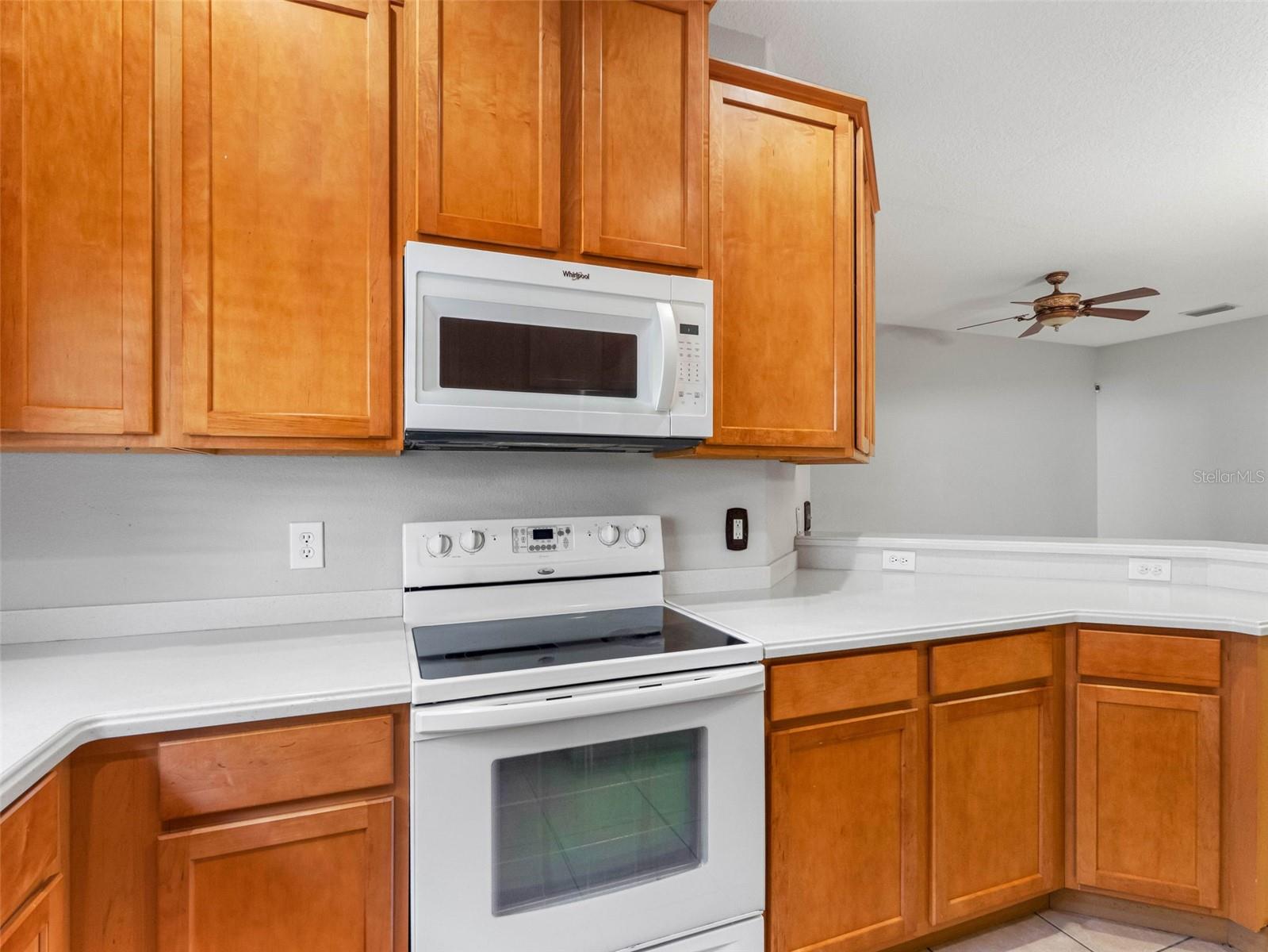 12820 BELVEDERE SONG WAY, RIVERVIEW, FL, 33578