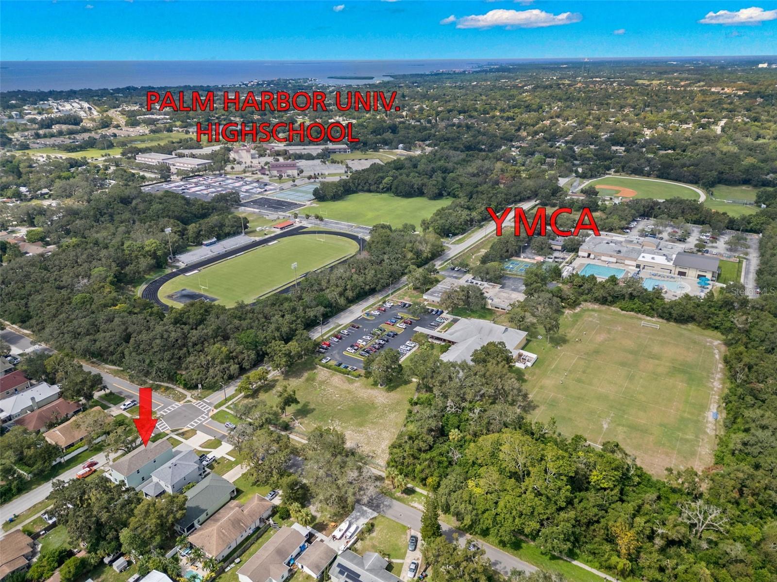 1604 PENNSYLVANIA AVE, PALM HARBOR, FL, 34683