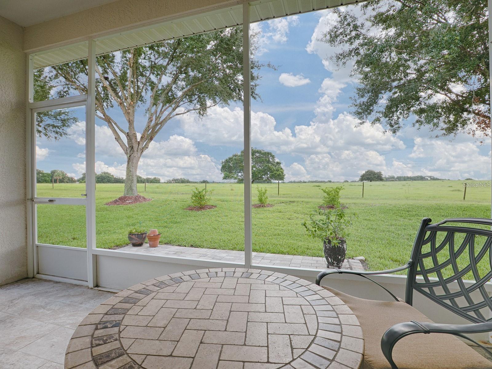 20846 QUEEN ALEXANDRA DR, LEESBURG, FL, 34748