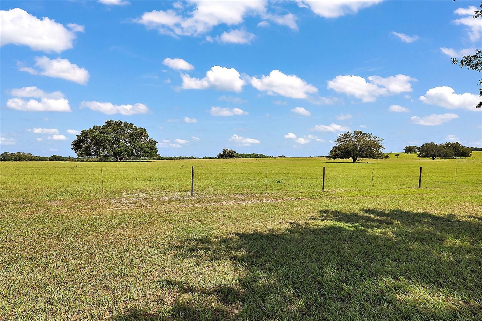 20846 QUEEN ALEXANDRA DR, LEESBURG, FL, 34748