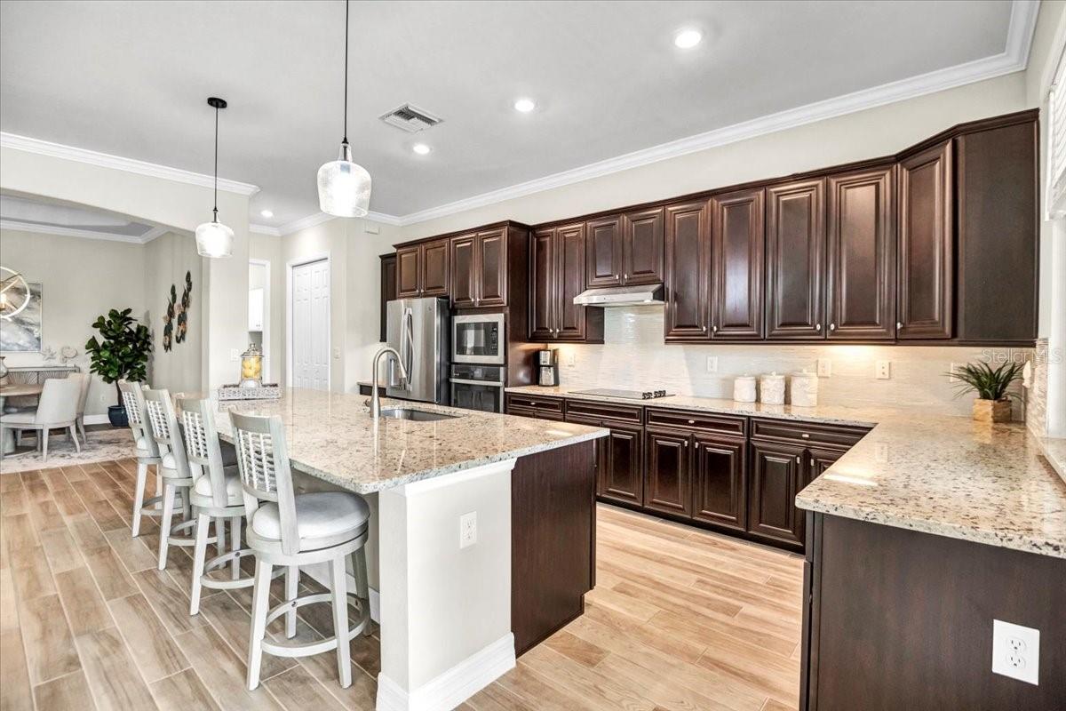 25159 SPARTINA DR, VENICE, FL, 34293