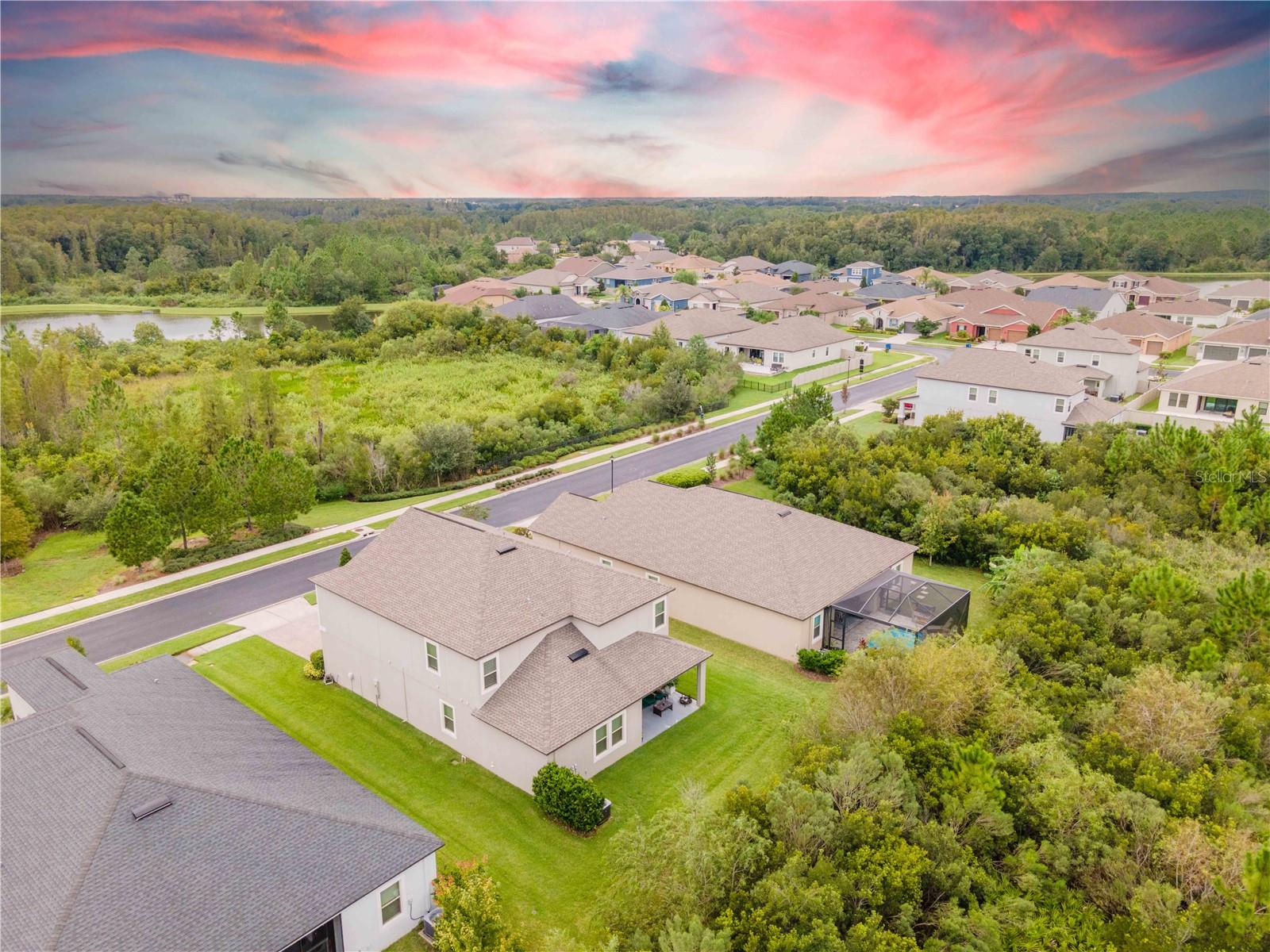 3138 HILLIARD DR, WESLEY CHAPEL, FL, 33543