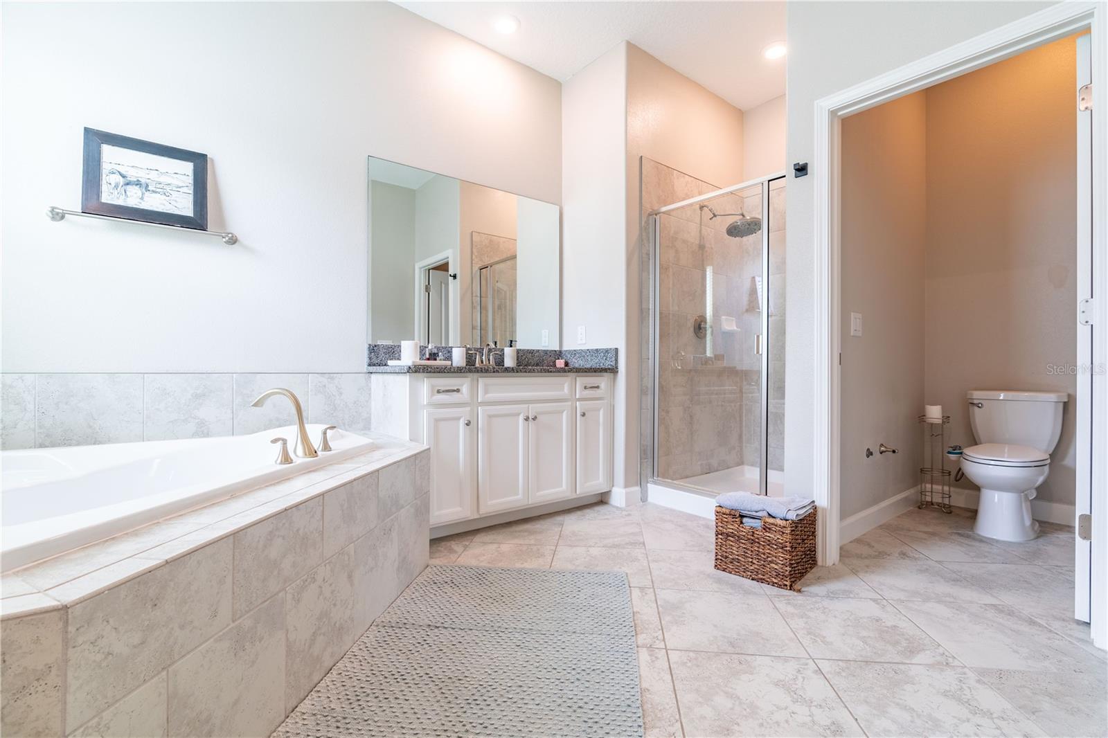 3138 HILLIARD DR, WESLEY CHAPEL, FL, 33543