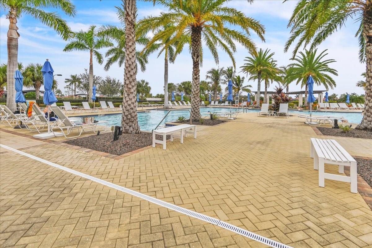 25143 SPARTINA DR, VENICE, FL, 34293