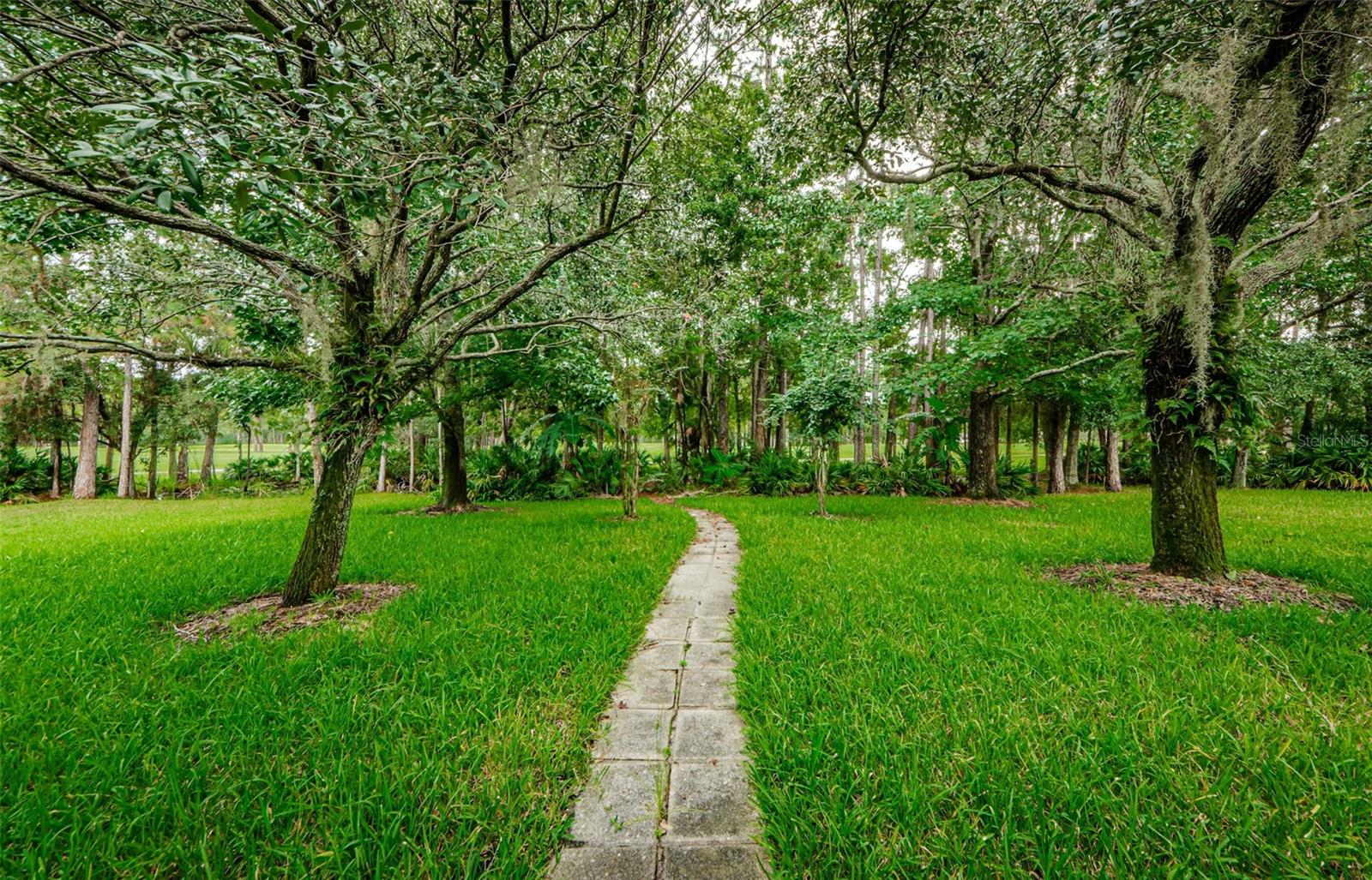 16006 SHINNECOCK DR, ODESSA, FL, 33556