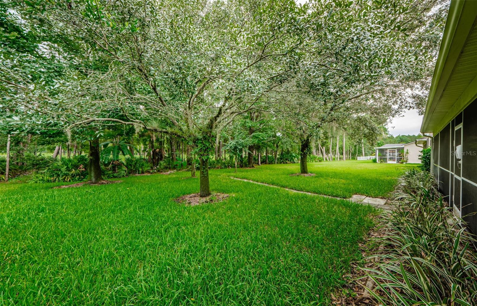 16006 SHINNECOCK DR, ODESSA, FL, 33556