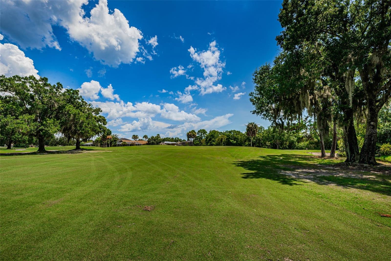 16006 SHINNECOCK DR, ODESSA, FL, 33556