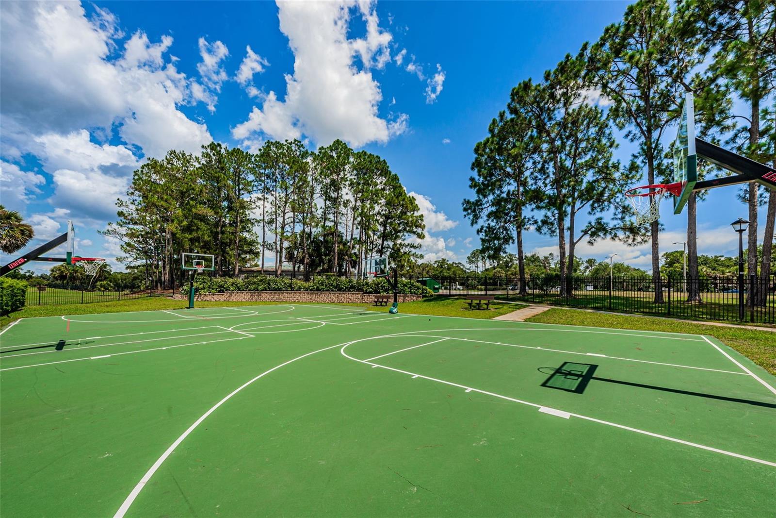 16006 SHINNECOCK DR, ODESSA, FL, 33556