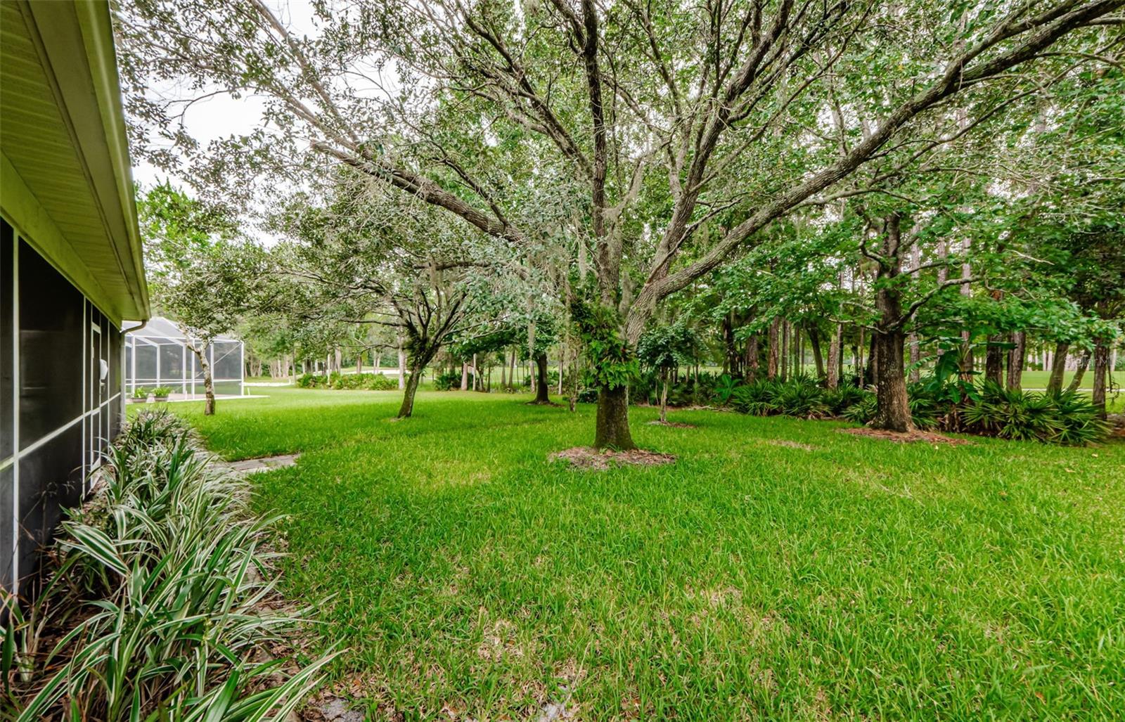 16006 SHINNECOCK DR, ODESSA, FL, 33556