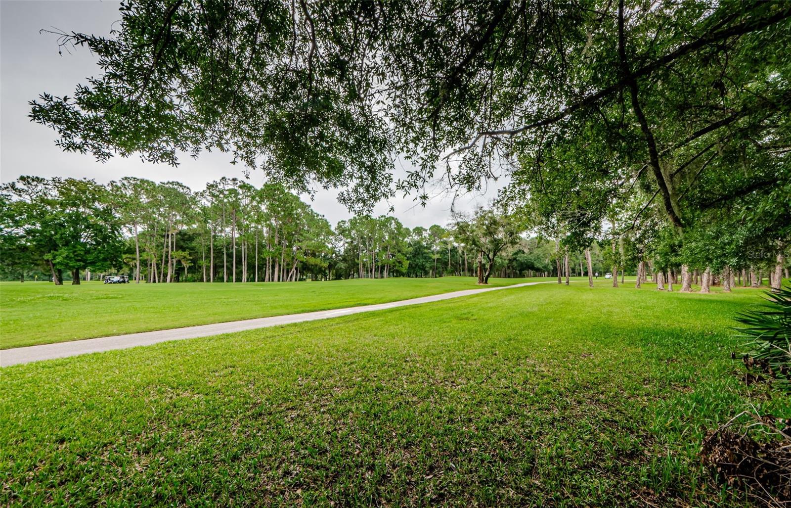 16006 SHINNECOCK DR, ODESSA, FL, 33556